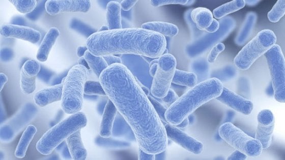 Course Image I piani per la gestione del rischio legionella